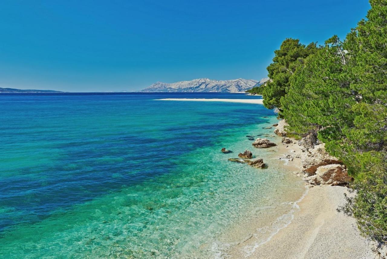 Anton * Makarska
